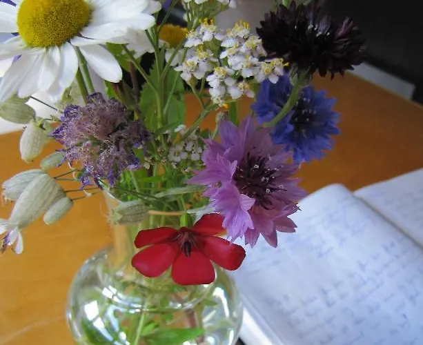 Maison d'hôtes Nordbo Hjartdal