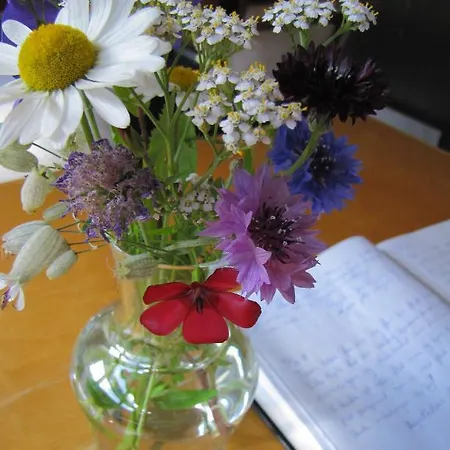 게스트하우스 Nordbo Hjartdal